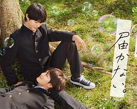 嘉峪关市正规的网站优化